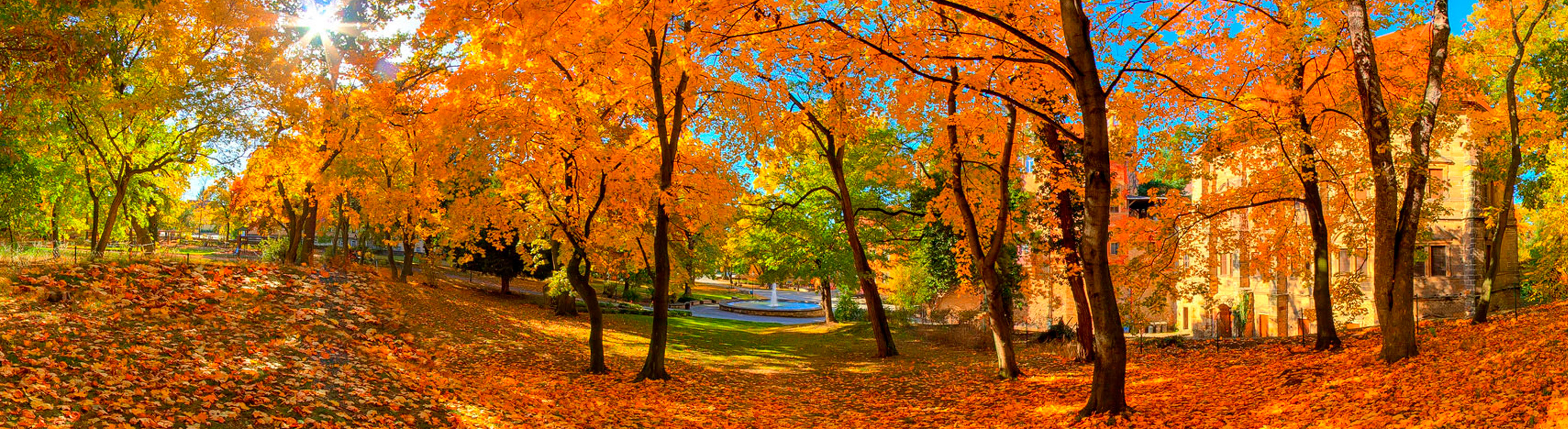 Droyßig erleben – Schloss und Umgebung