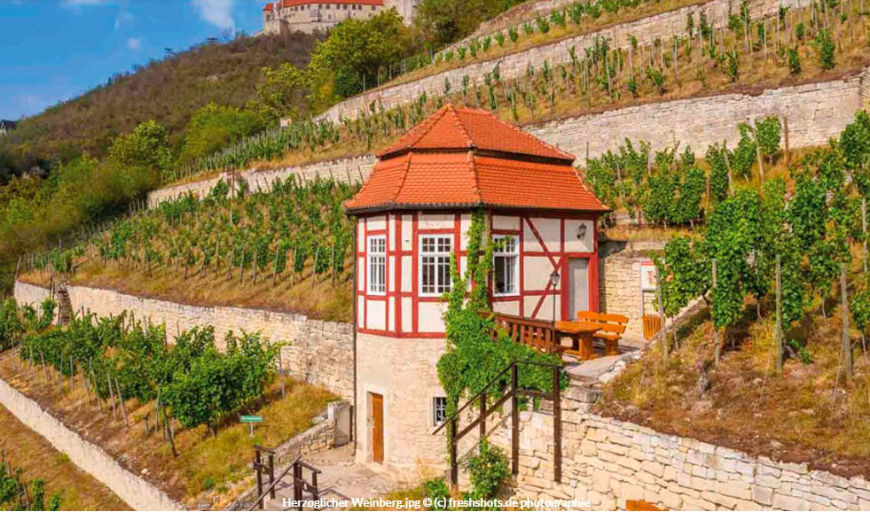 Saale-Unstrut-Region